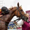 競馬で帯💵's profile picture