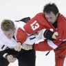 Фото профиля redwingfan