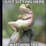Nichole's profile picture