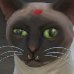 Profilbild von Silly
