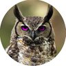 cacume nico profil fotoğrafı