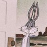 Фото профиля Bugsbunny Heimirich