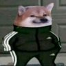 Procrastinador's profile picture