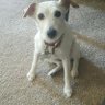 Фото профиля Steve