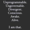 Фото профиля I am That I am