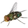 Magas's profile picture
