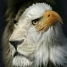 Profilbild von DawnMarie24
