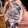 Фото профиля Carolanne Royal