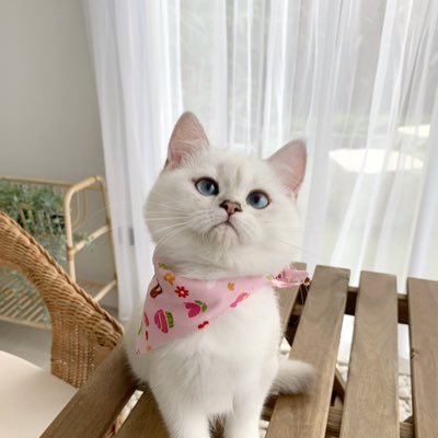 arthiyyy's profile picture