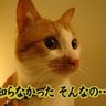 Фото профиля ë太郎