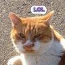 Profilbild von マグマグ