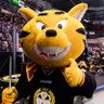 Фото профиля Brynäs Tigern
