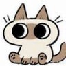 Bqg8f's profile picture