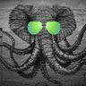 ChaosElephant's profile picture