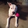 Corneilius Clearflow's profile picture
