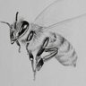 Фото профиля Beehive