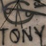 Фото профиля Tony Baloney