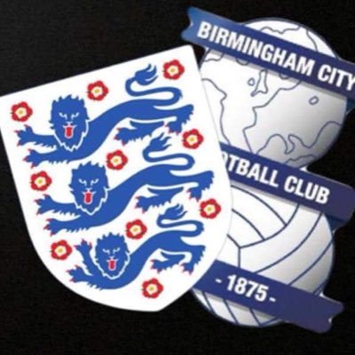 Justin 🏴💙's profile picture