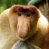 Jay profil fotoğrafı