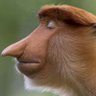عبدل میمون's profile picture
