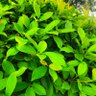 Фото профиля vishwa teja Darling 💕