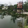 旭日东升 的头像