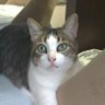 Jezebel's profile picture