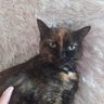 Фото профиля Yumi Sofi