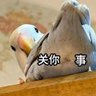 Фото профиля 马飞飞