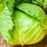 Фото профиля carmenysusapellidos