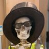 DingDangDoo's profile picture