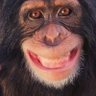 Hehasitall2's profile picture
