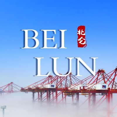 Insight Beilun's profile picture