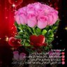Фото профиля Aslam maher Mahnoud
