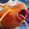 Profilbild von iamsub