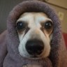 Profilbild von Ian484848