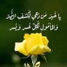 Profilbild von الاستاذ سامي معتز