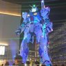 ココア's profile picture