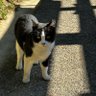 Pちゃん 的头像