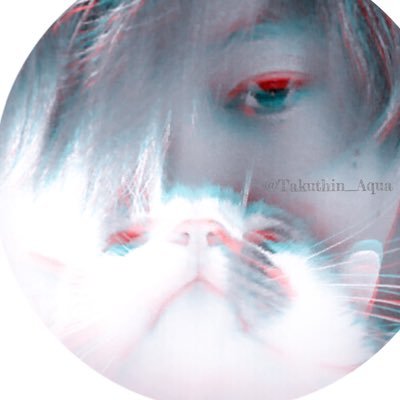 Takuthin_Aqua's profile picture