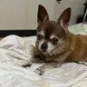 betty's profile picture