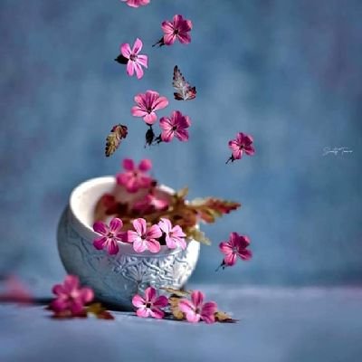 santhiyatwt's profile picture