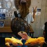 あーちゃん profil fotoğrafı