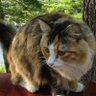 John Seniura profil fotoğrafı