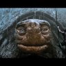 Фото профиля Humors tumor