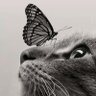 OluwaLoni profil fotoğrafı