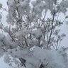 Фото профиля カッパチョップ