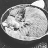 だいじ profil fotoğrafı