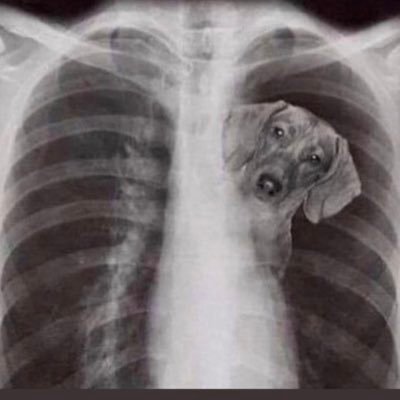 goatest0's profile picture
