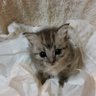 yoko.y's profile picture